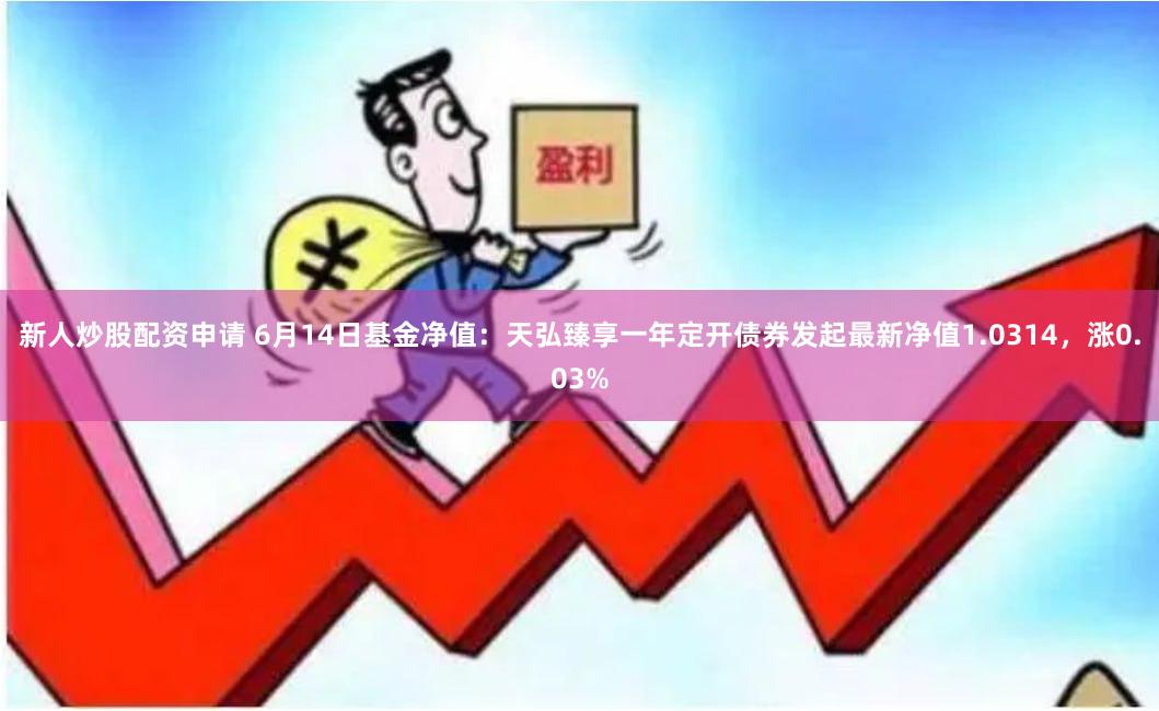 新人炒股配资申请 6月14日基金净值：天弘臻享一年定开债券发起最新净值1.0314，涨0.03%
