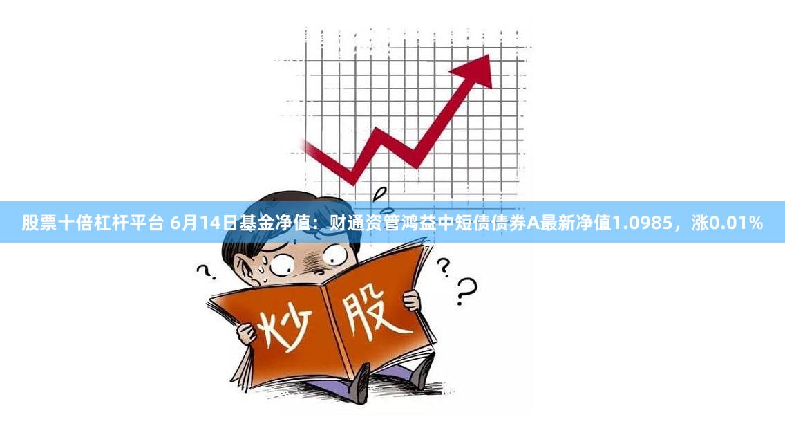 股票十倍杠杆平台 6月14日基金净值：财通资管鸿益中短债债券A最新净值1.0985，涨0.01%