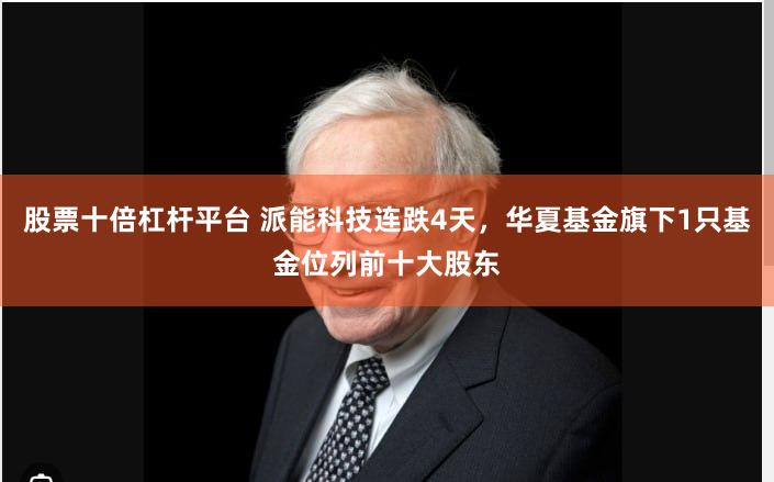 股票十倍杠杆平台 派能科技连跌4天，华夏基金旗下1只基金位列前十大股东