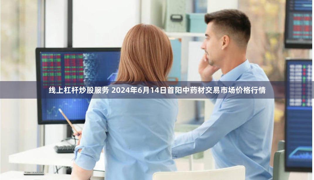 线上杠杆炒股服务 2024年6月14日首阳中药材交易市场价格行情