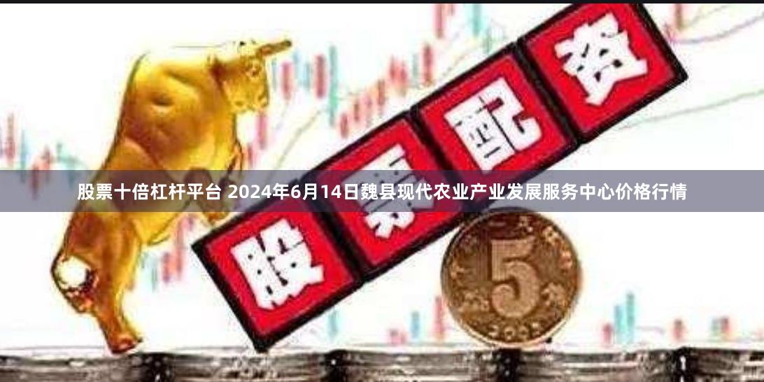 股票十倍杠杆平台 2024年6月14日魏县现代农业产业发展服务中心价格行情