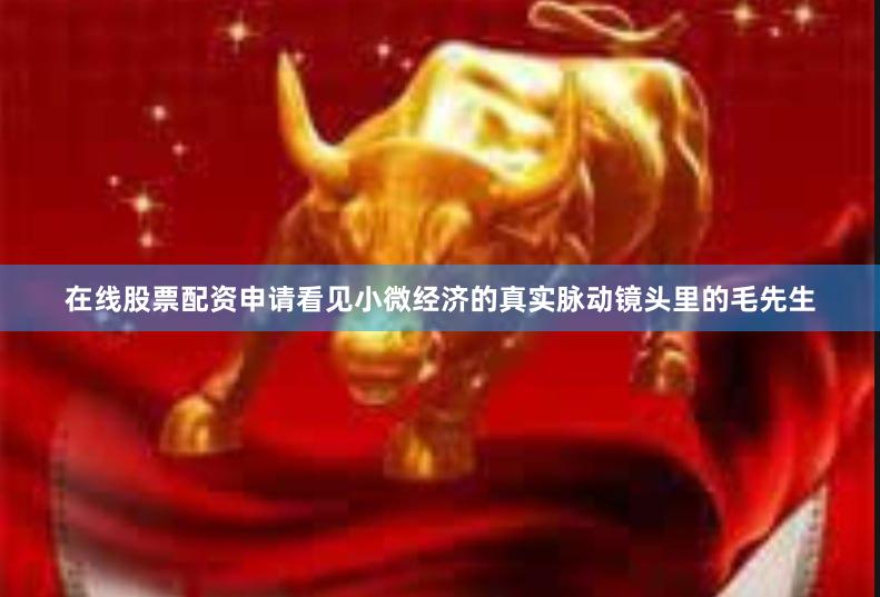 在线股票配资申请看见小微经济的真实脉动镜头里的毛先生